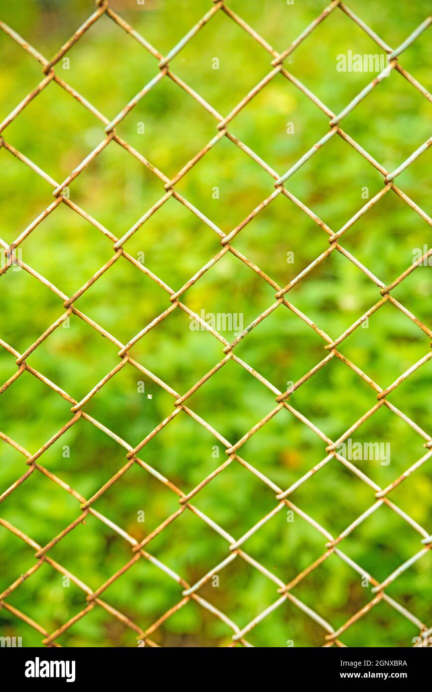 Fence with green background Stock Photo - Alamy