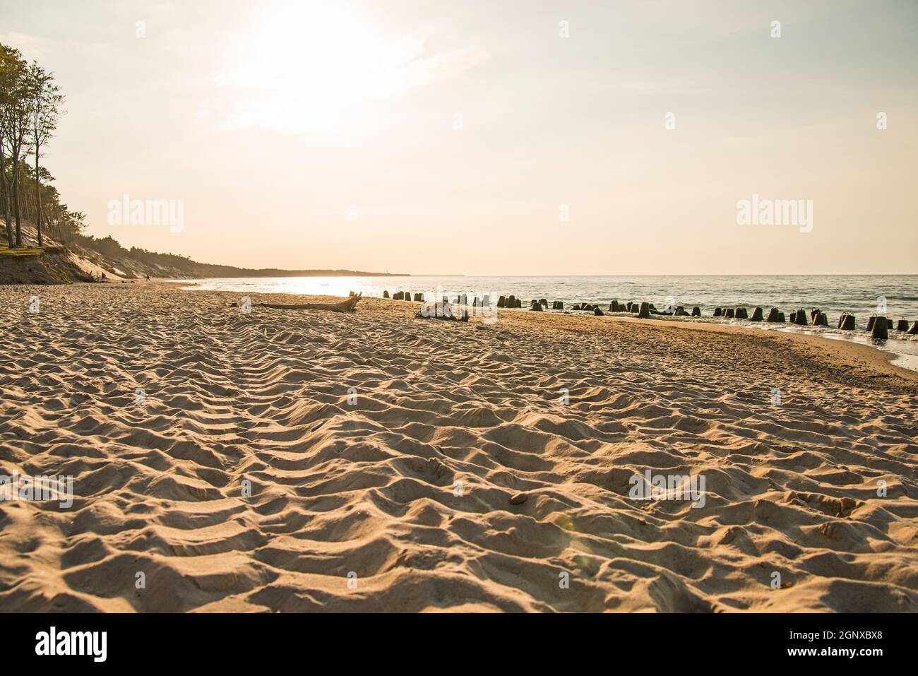 beach of the Baltic Sea with evening sun Stock Photo