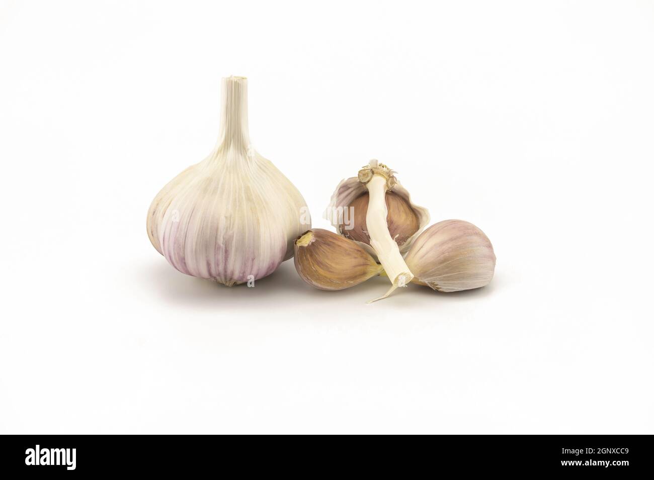 Garlic bulbs and cloves in close-up isolated on white background Stock ...