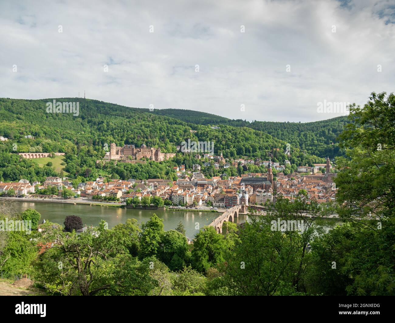 View of the city and castle Heidelberg on the Neckar River Stock Photo