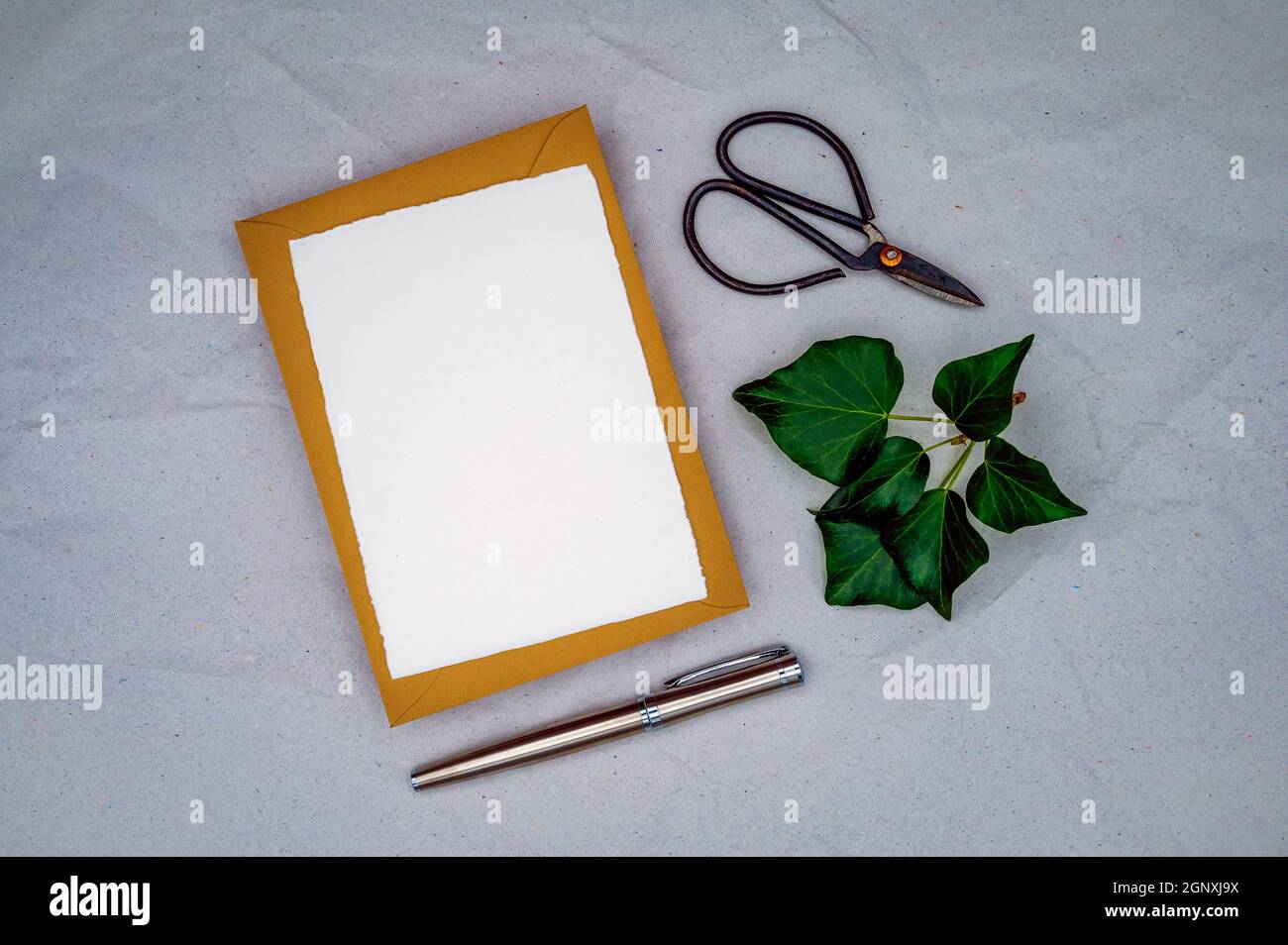 Blank greeting, condolence or invitation mockup with brown envelope, handmade white paper, and ivy. Flat lay, top view, copy space. Stock Photo