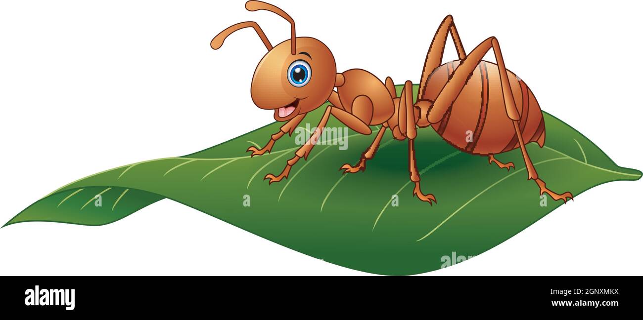 Cartoon ant hi-res stock photography and images - Alamy