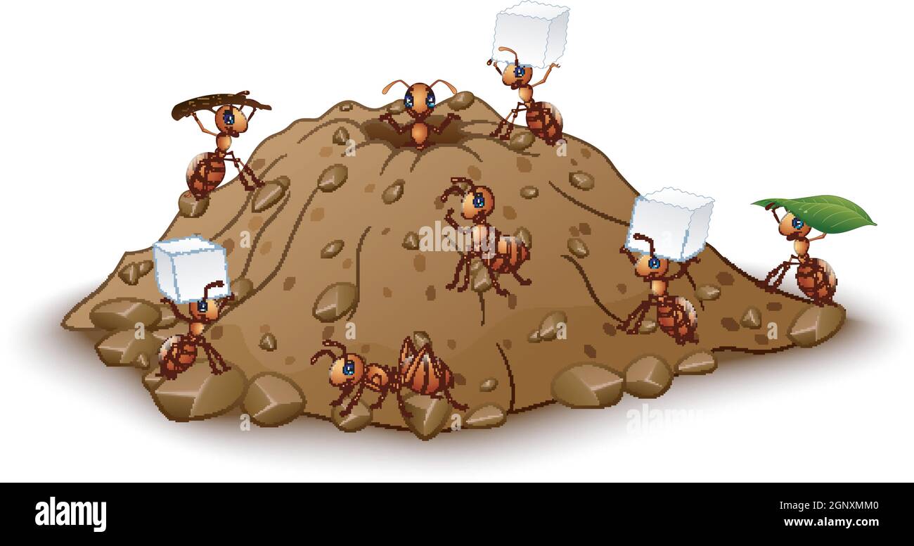 Cartoon ants colony with anthill Stock Vector