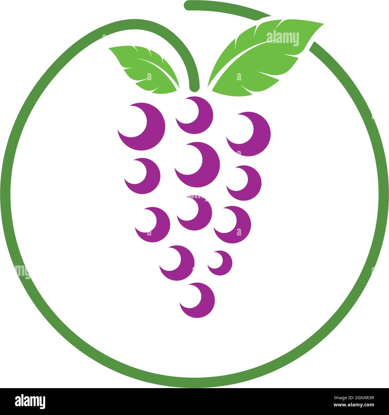 Grape fruits with leaf icon vector illustrtion Stock Vector