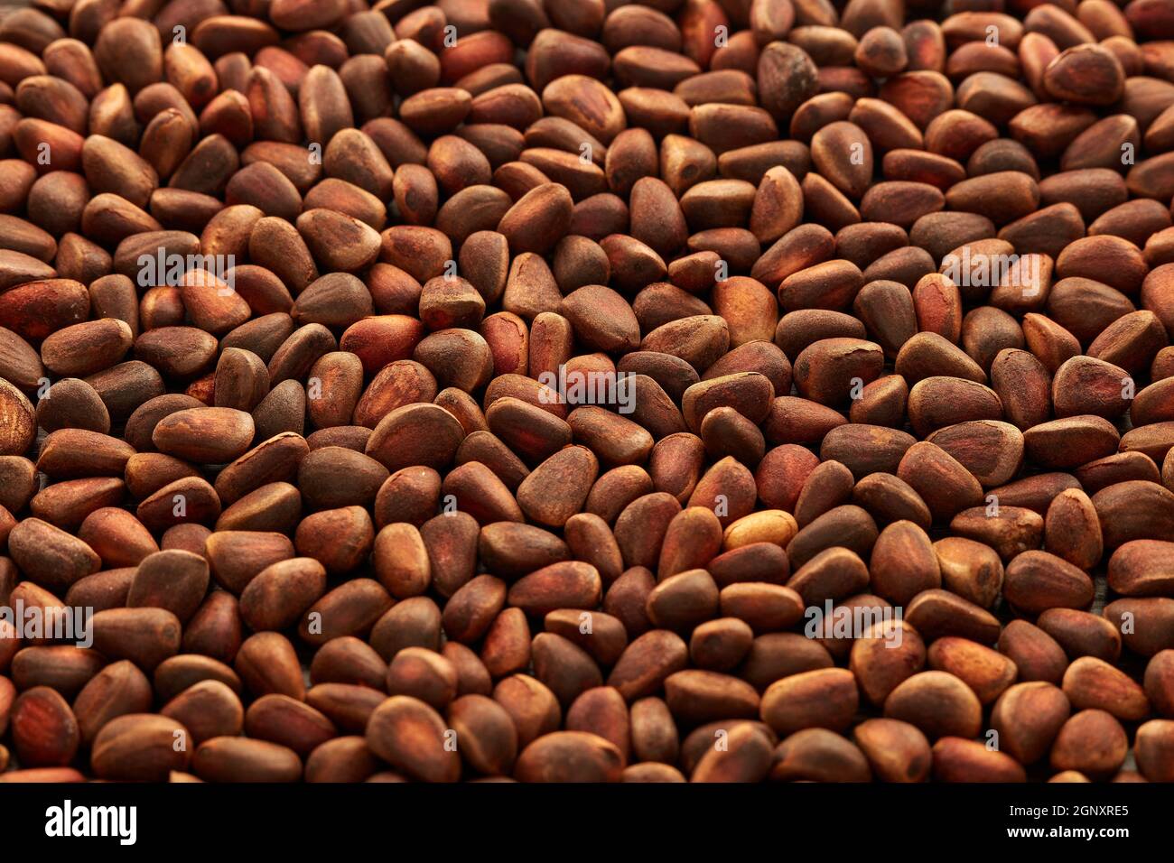 Background from pine nuts. Pinus sibirica, siberian pine nuts Stock Photo