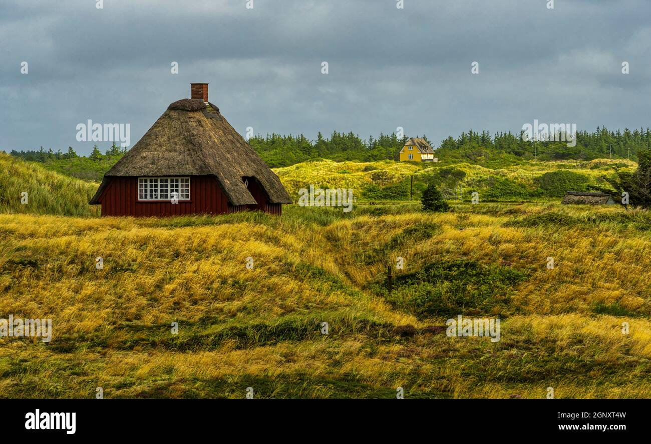 Traditional fisherman's house with a thatched roof in the Nymindegab dunes. South West Jutland, Denmark, Europe Stock Photo
