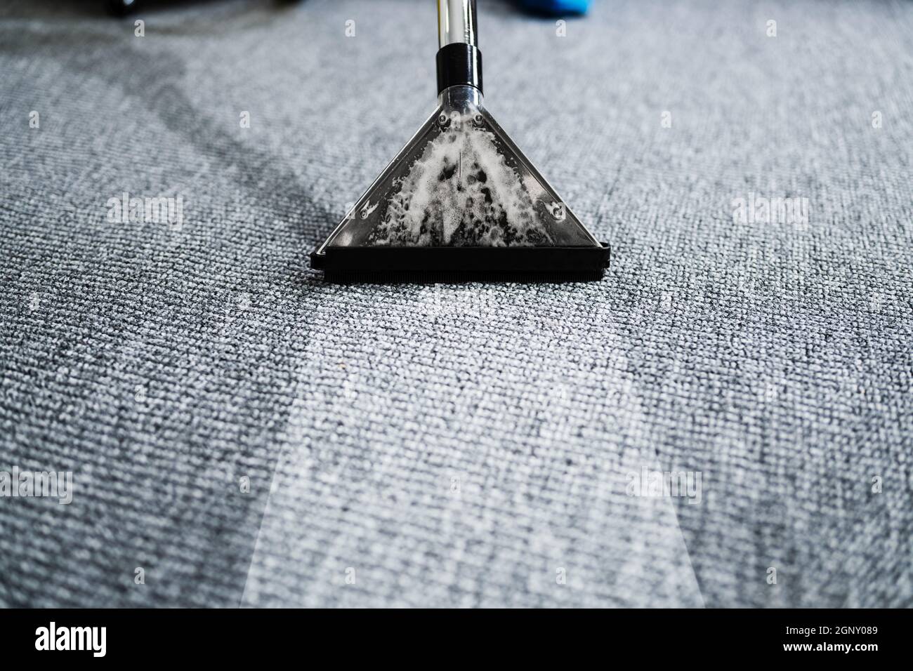 Professional Carpet Cleaning Service. Vacuum Cleaner. Janitor Removing
