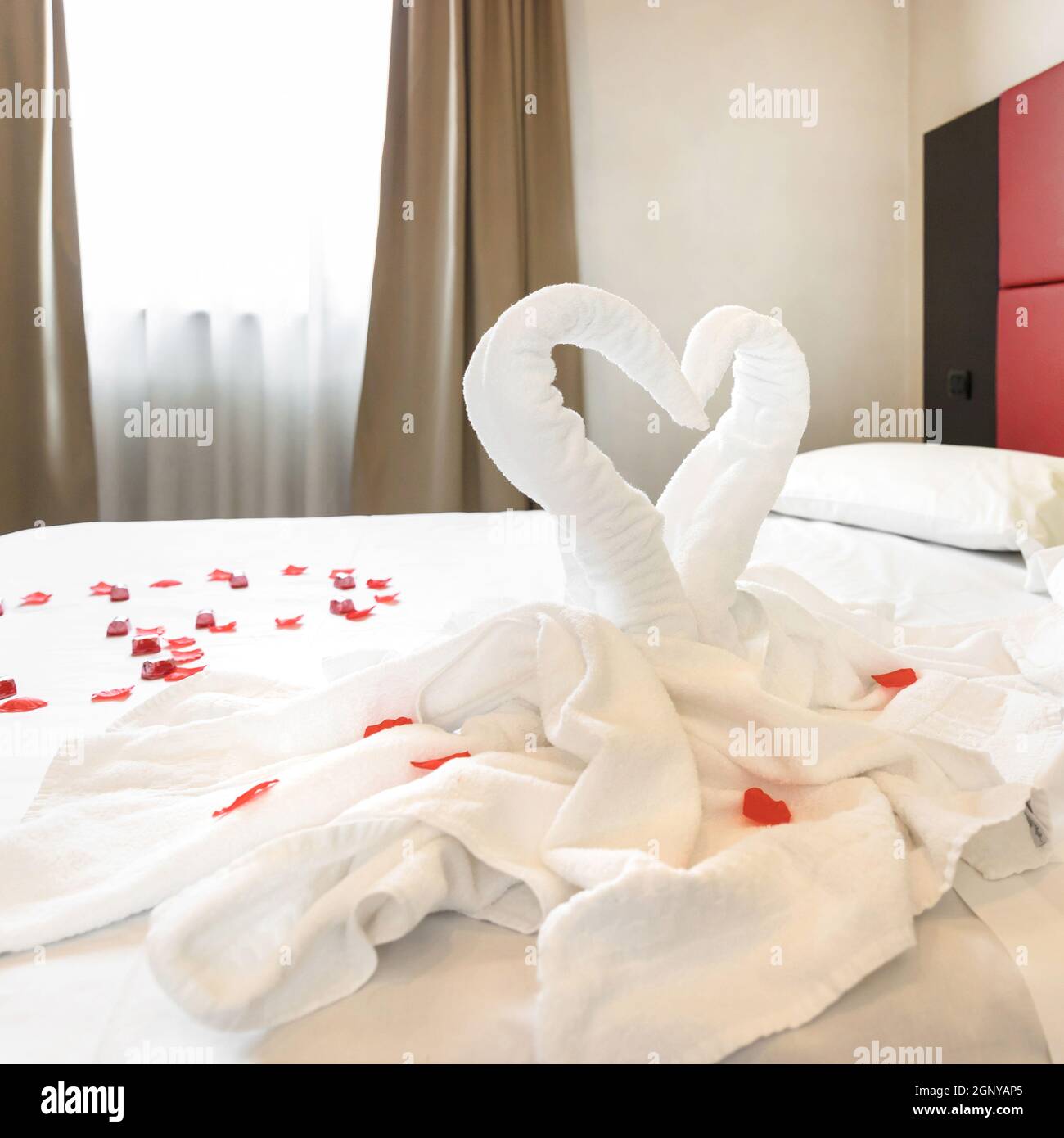 Two towel swans and rose petals on bed in light hotel room. For couple in Honey Moon and Valentine's Day. Stock Photo