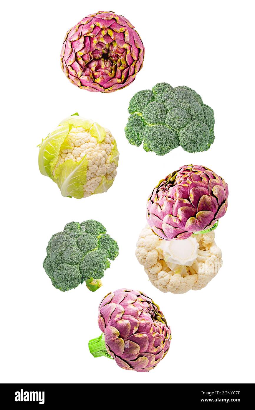 Isolated vegetables. Seven mixed of broccoli, artichokes and
