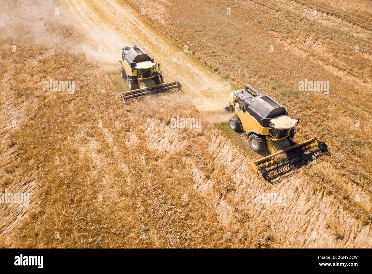 Aerial view of combine harvesters harvesting large yellow ripe wheat ...