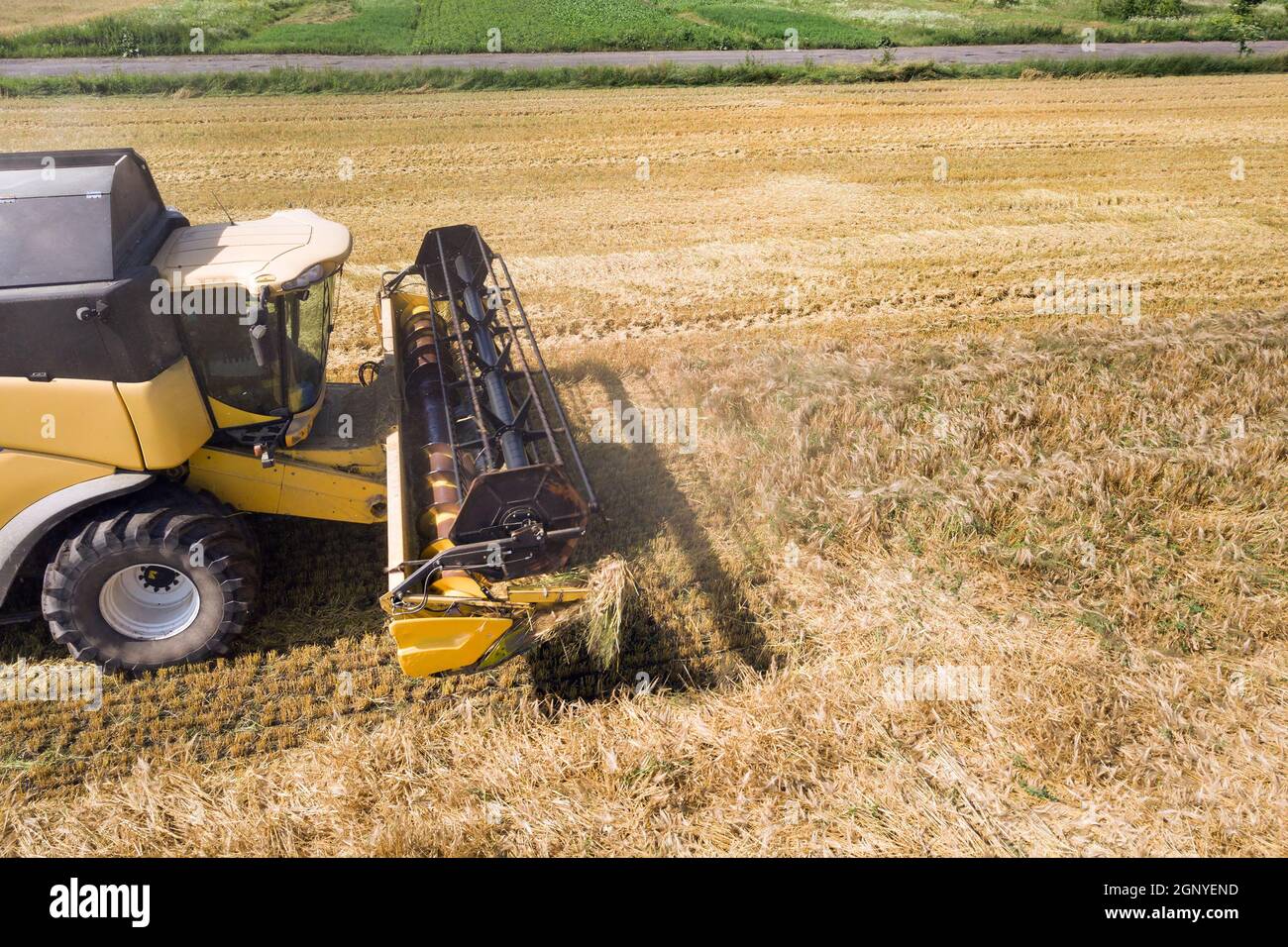 Aerial view of combine harvester harvesting large ripe wheat field ...