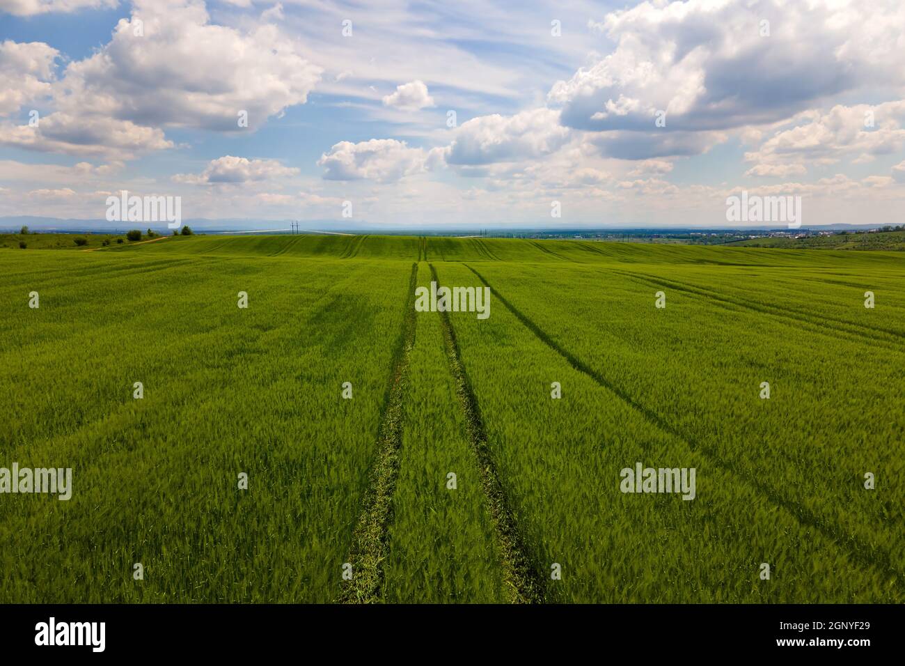 Aerial landscape view of green cultivated agricultural fields with ...