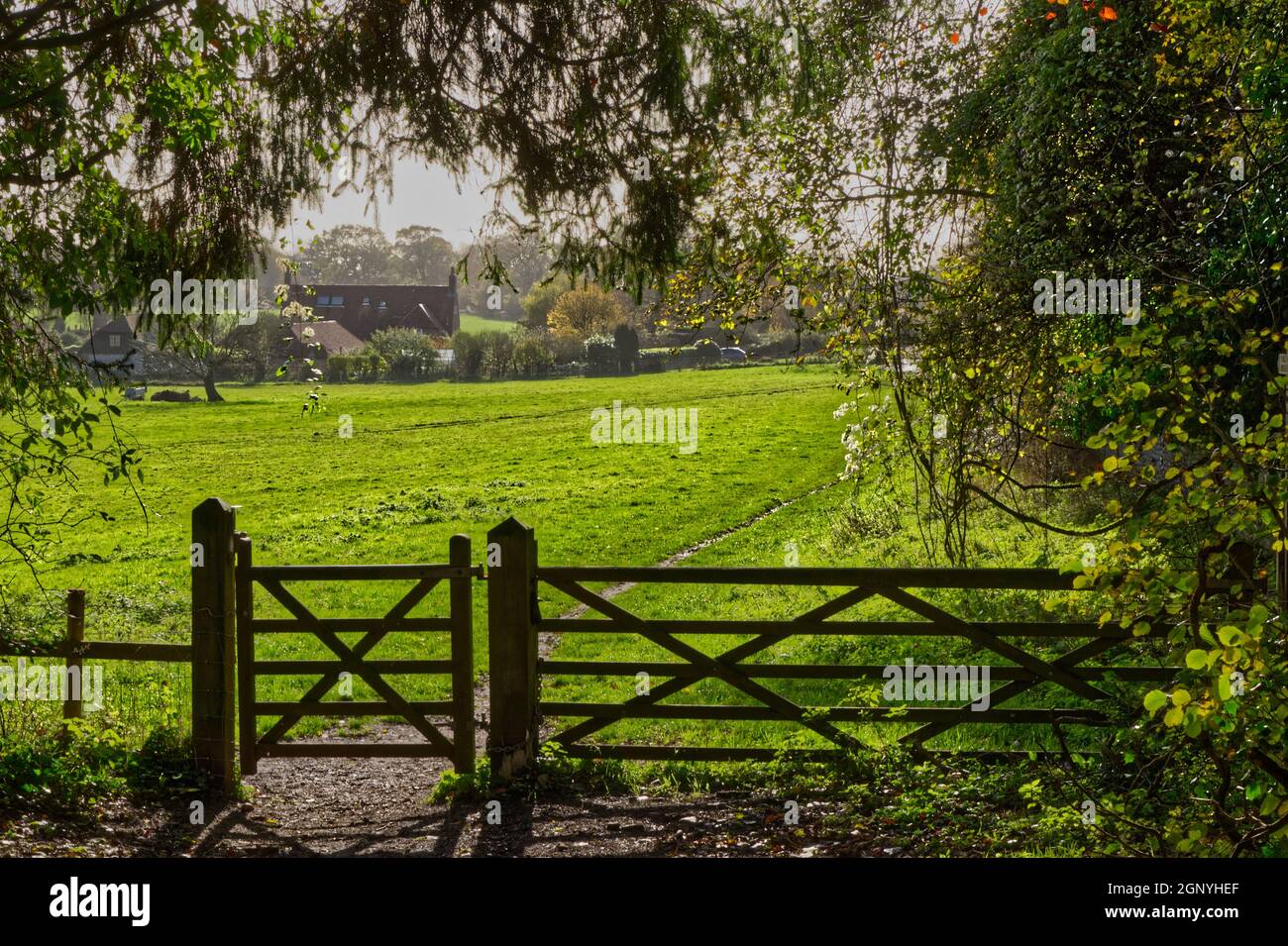 Footpath leading through field and five bar gate (in silhouette ...