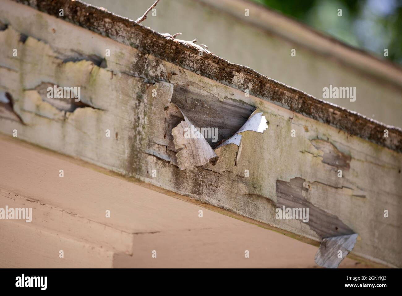 Fascia board hires stock photography and images Alamy