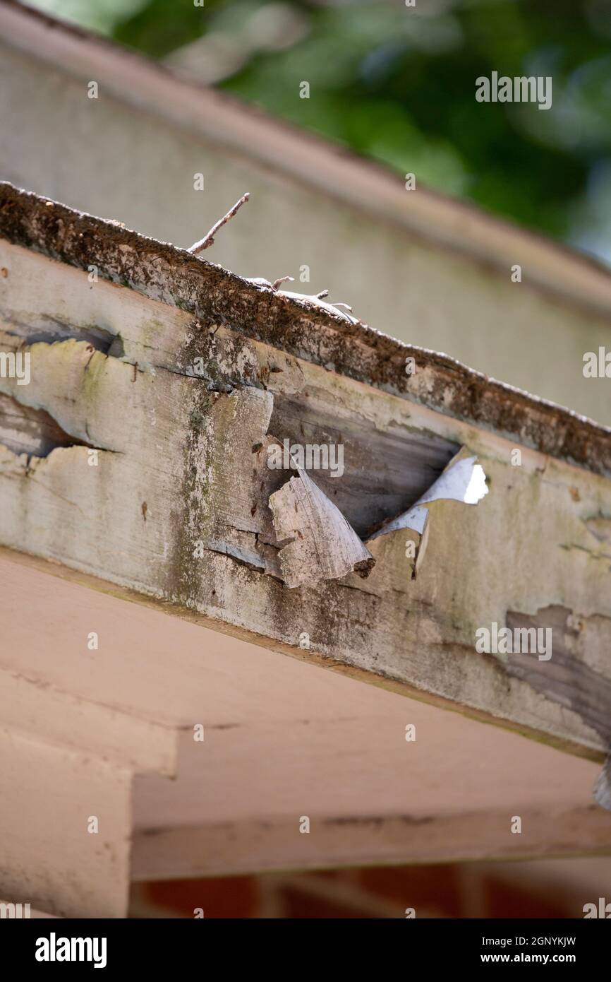 Fascia board hires stock photography and images Alamy