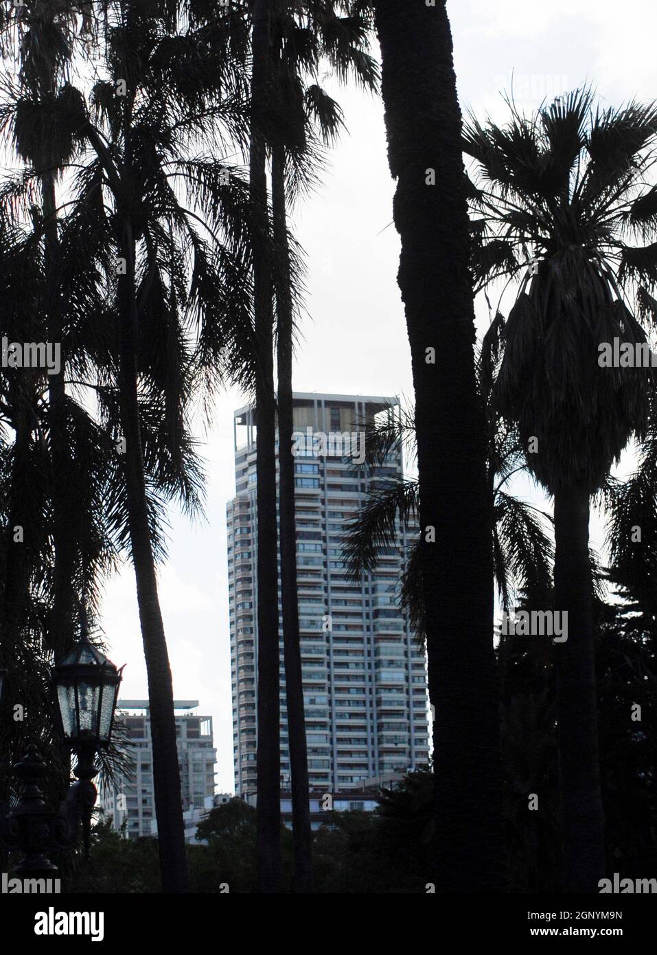 a high rise building, living and housing in the city Stock Photo - Alamy