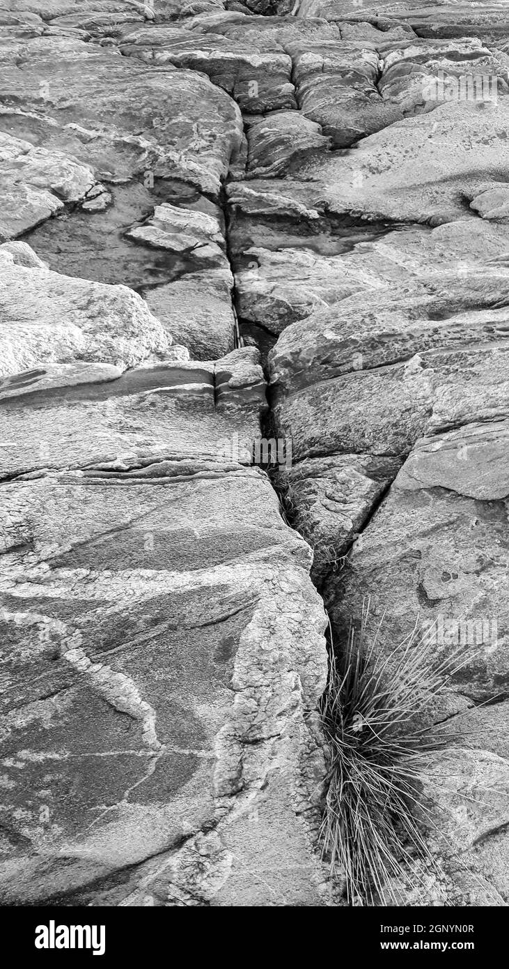 Close up shot big rocks at beach coast background Stock Photo - Alamy
