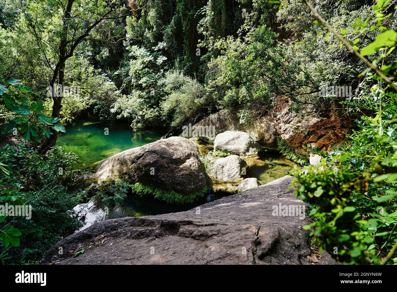 Beautiful shot of a forest and a lake in the middle of it under the ...