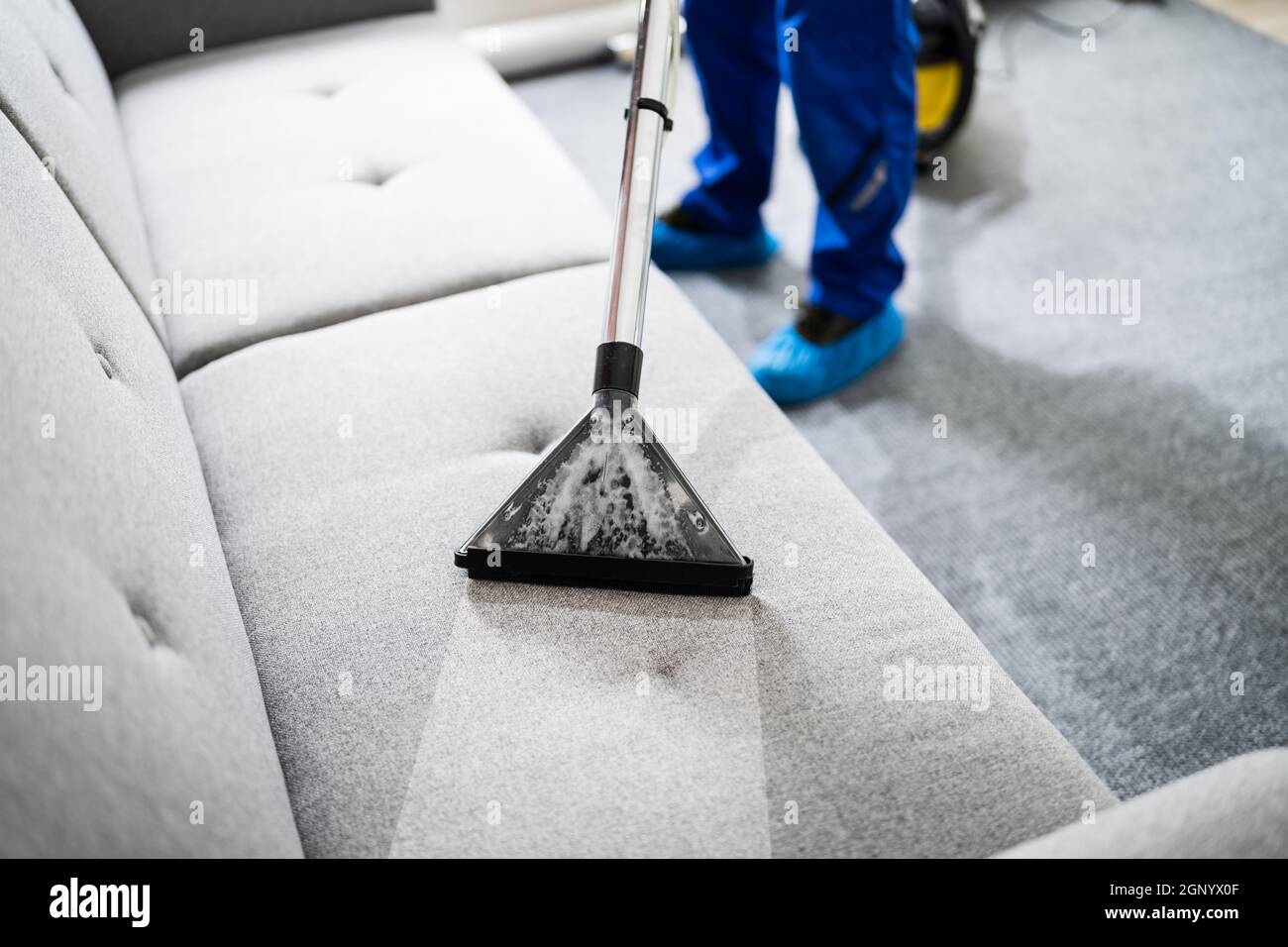 Professional Sofa Cleaning Service Using Vacuum Cleaner Stock Photo Alamy