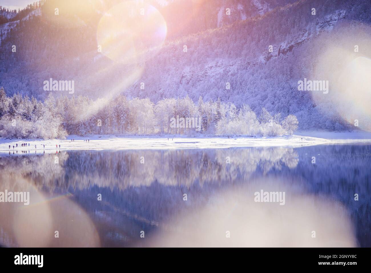 Idyllic winter landscape: Reflection lake, snowy trees and mountains ...