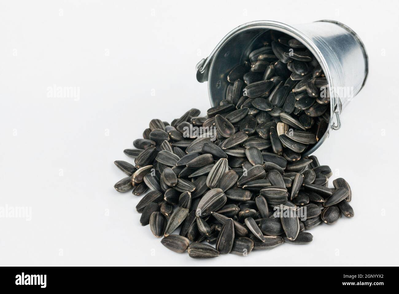 Sunflower seeds spilling out of bucket, on a white background Stock