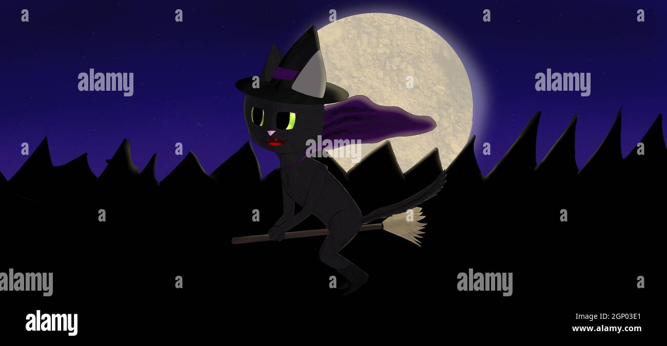 black cat on a witch broom Stock Photo - Alamy