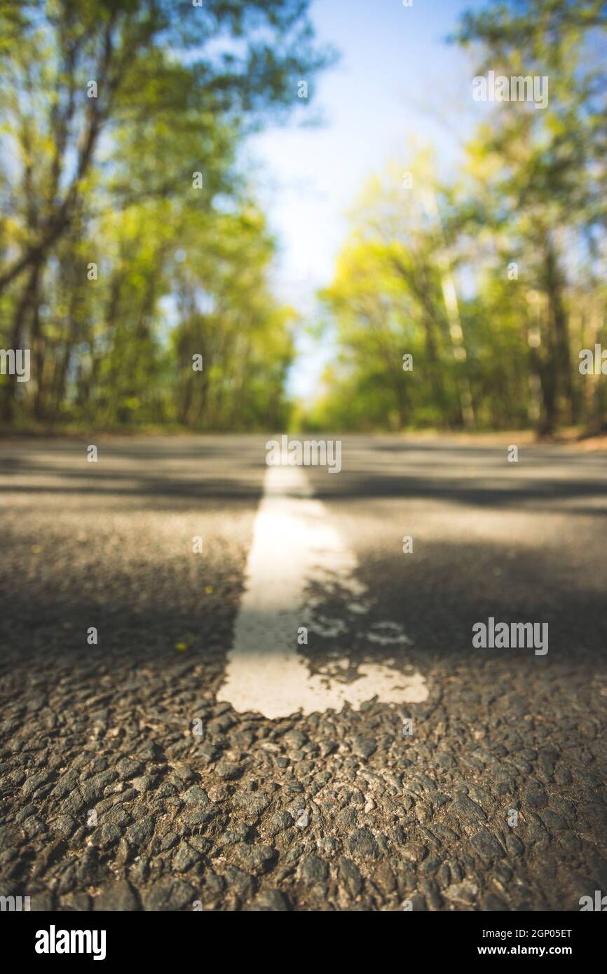 Asphalted street in the forest: Close up perspective, blurry background  Stock Photo - Alamy