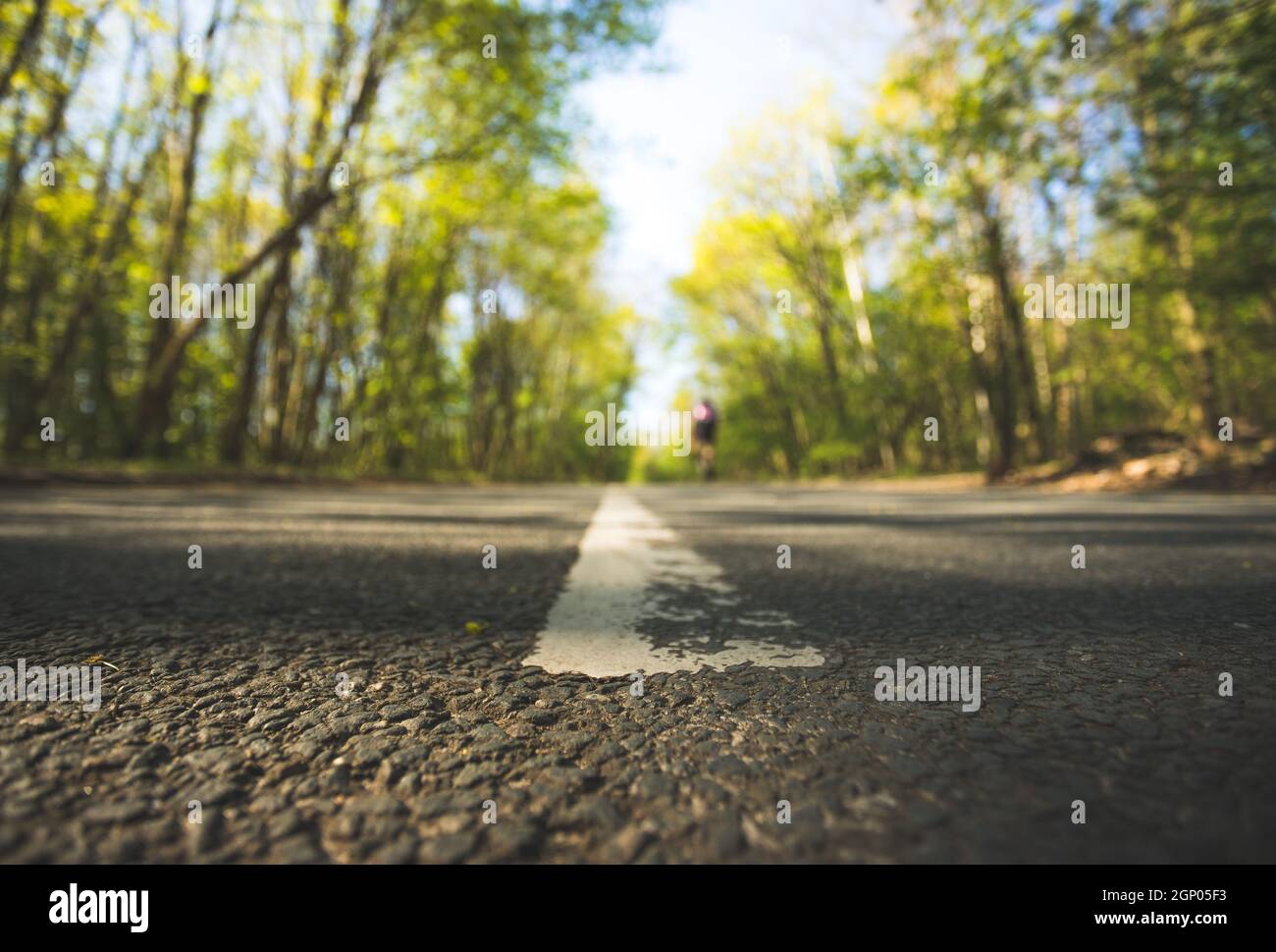 Asphalted street in the forest: Close up perspective, blurry background  Stock Photo - Alamy