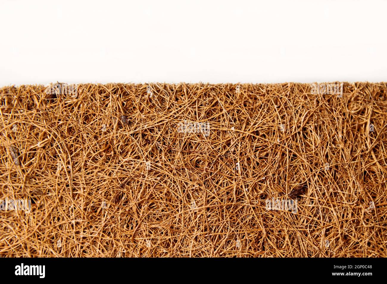 Closeup mattress made of coconut fiber isolated over white Stock Photo