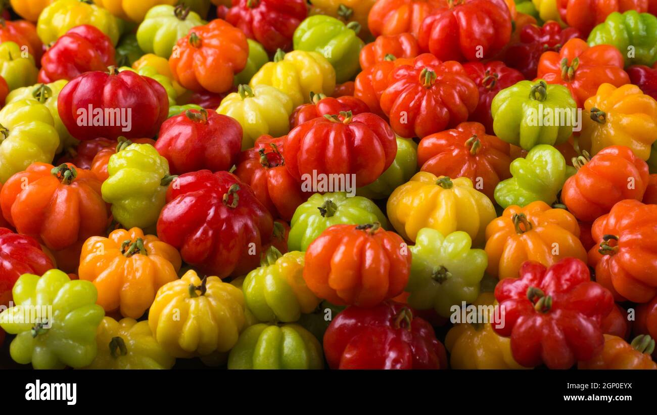surinam cherries or pitanga fruit also known as brazilian cherry or cayenne cherry or florida cherries, glossy and attractive fruits, closeup side vie Stock Photo