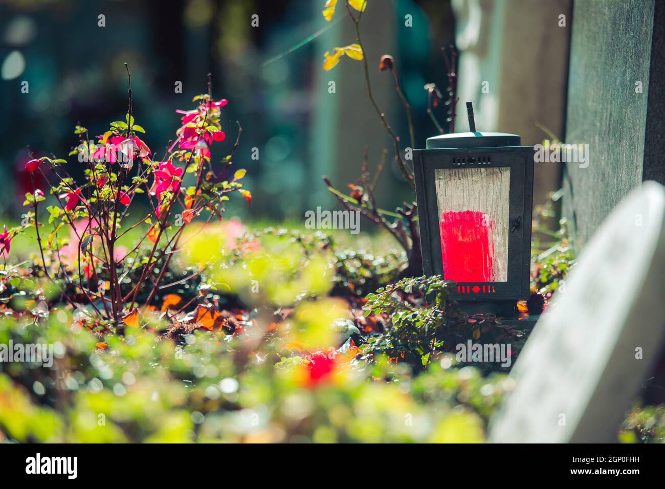 Candle in an iron lantern on a grave at a cemetery Stock Photo