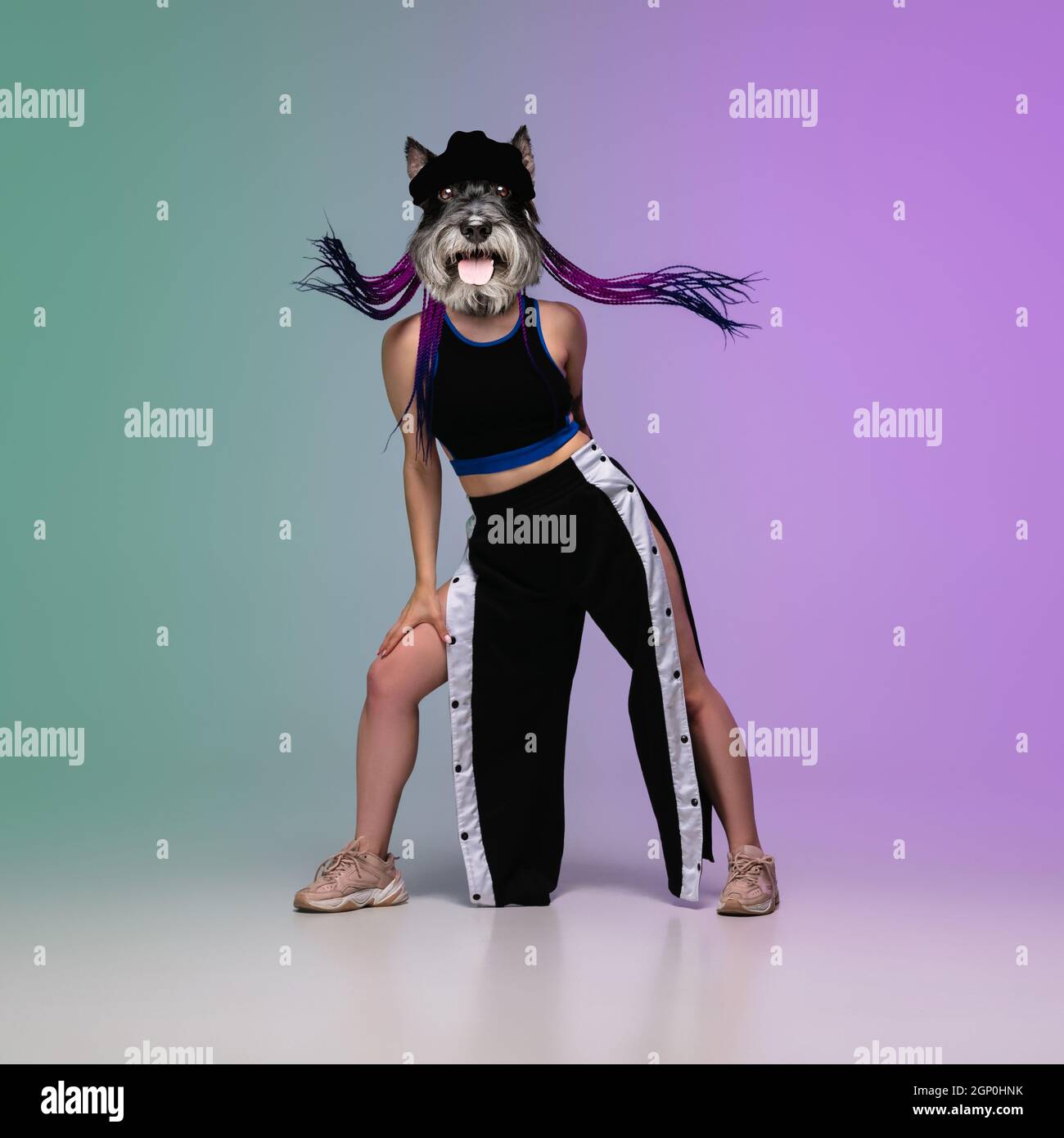 https://c8.alamy.com/comp/2GP0HNK/art-collage-young-woman-hip-hop-dancer-headed-of-dogs-head-dancing-isolated-over-gradient-background-inspiration-idea-street-dance-style-2GP0HNK.jpg