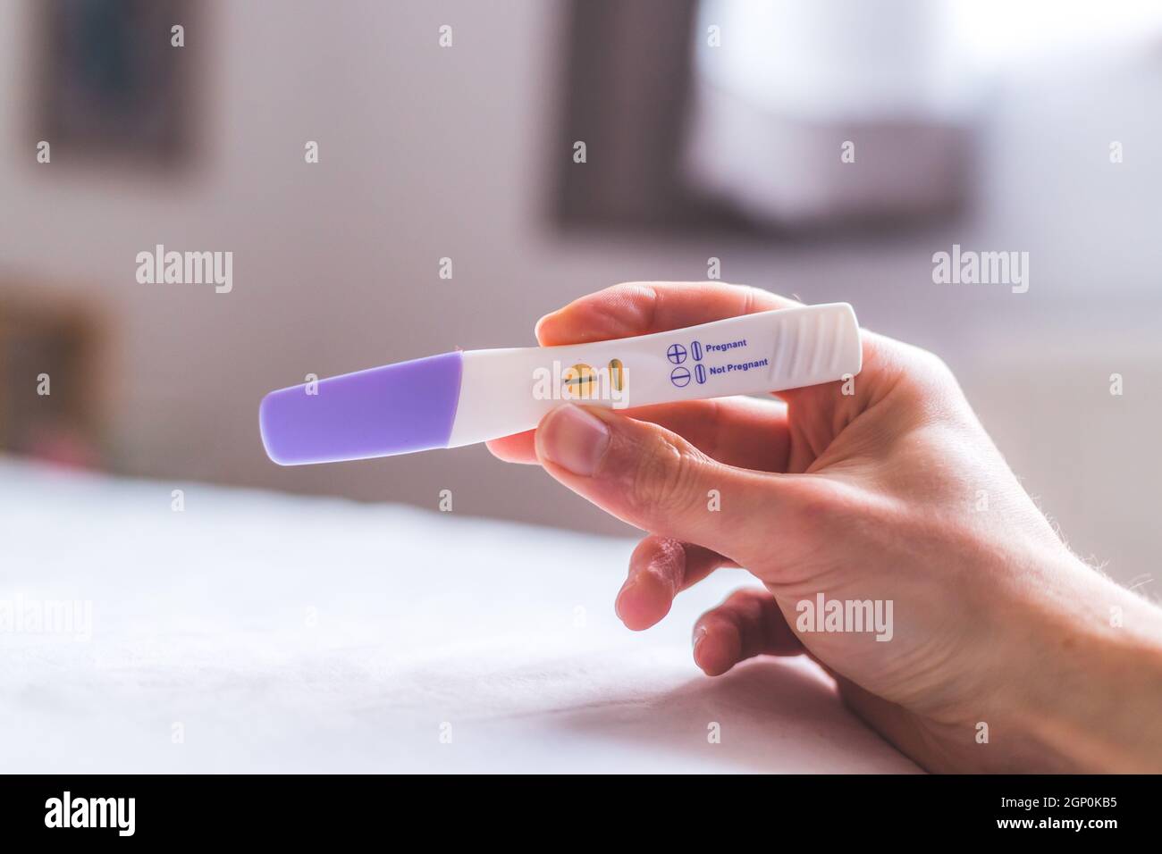 Woman hand holding pregnancy test, result is pregnant Stock Photo Alamy