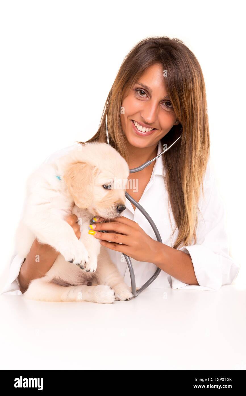 A beautiful veterinarian with a golden retriever puppy Stock Photo Alamy