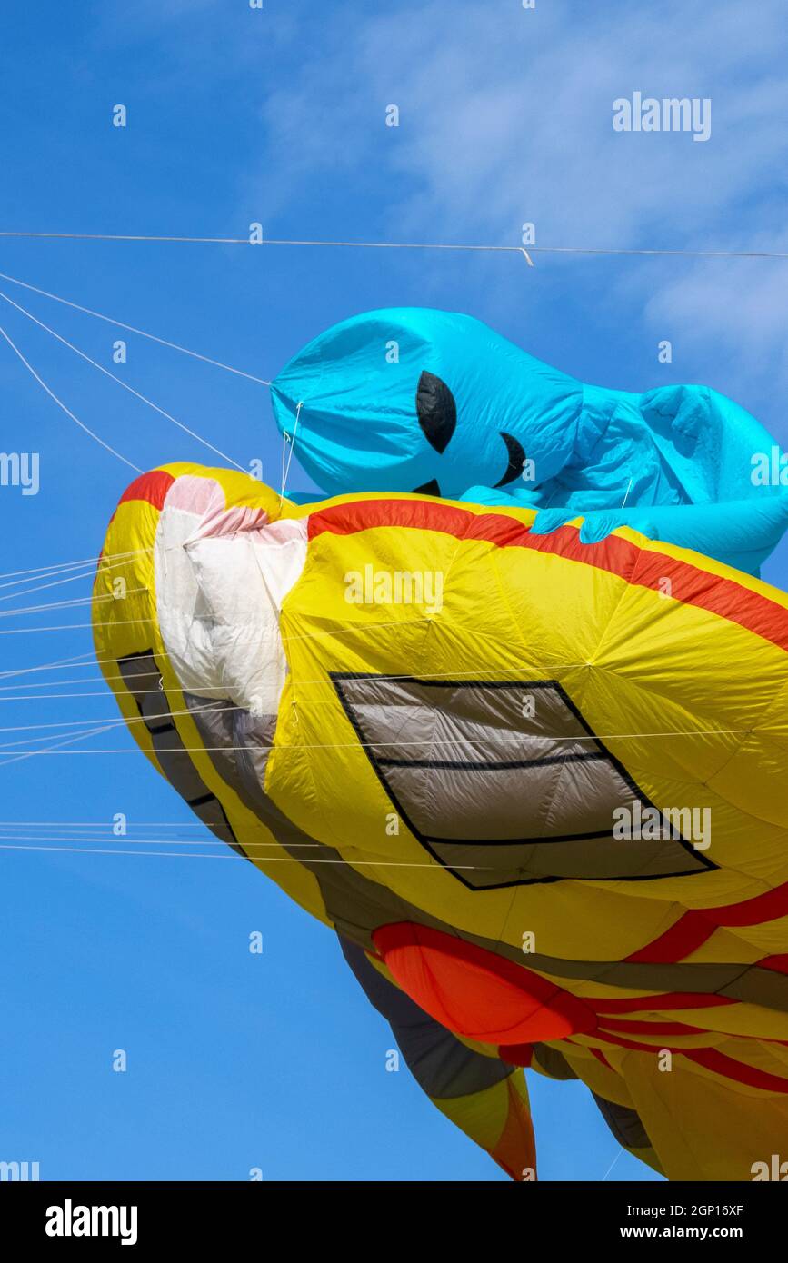 Kite Festival Filey, North Yorkshire beautiful blue sky day attracted