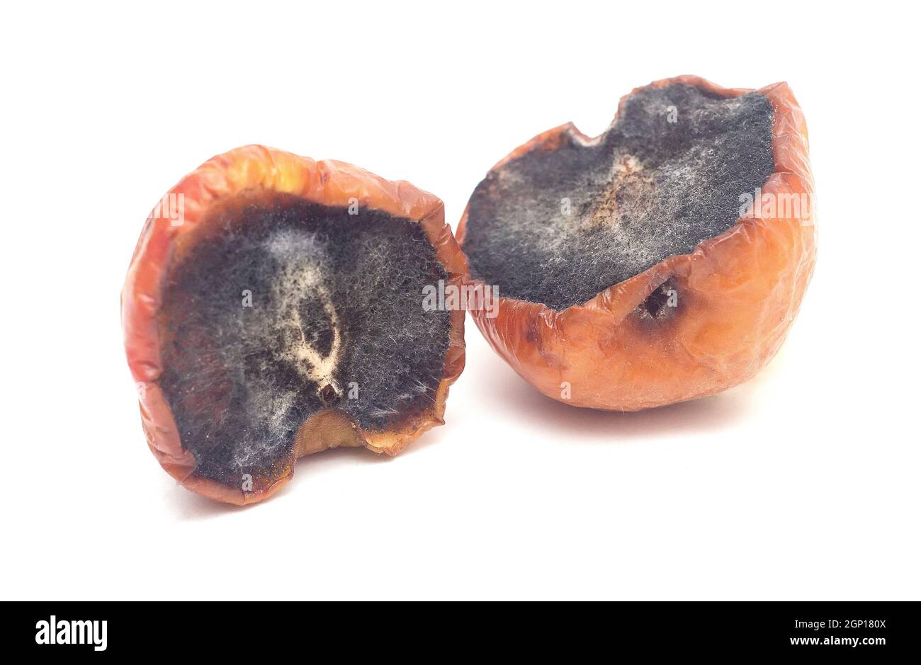 two large rotten blackened halves of an apple isolated on white background. Stock Photo