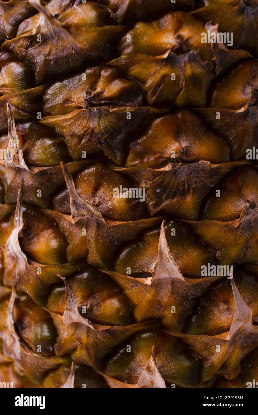 Close up of pineapple texture. Stock Photo