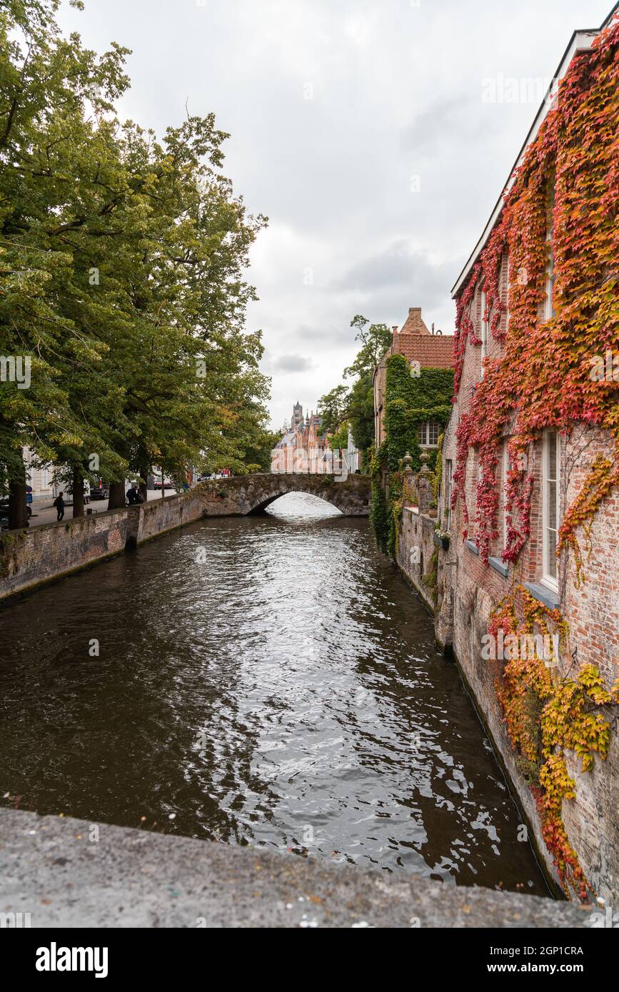 beautiful red wine on old bulding in brugge, next to a river Stock Photo