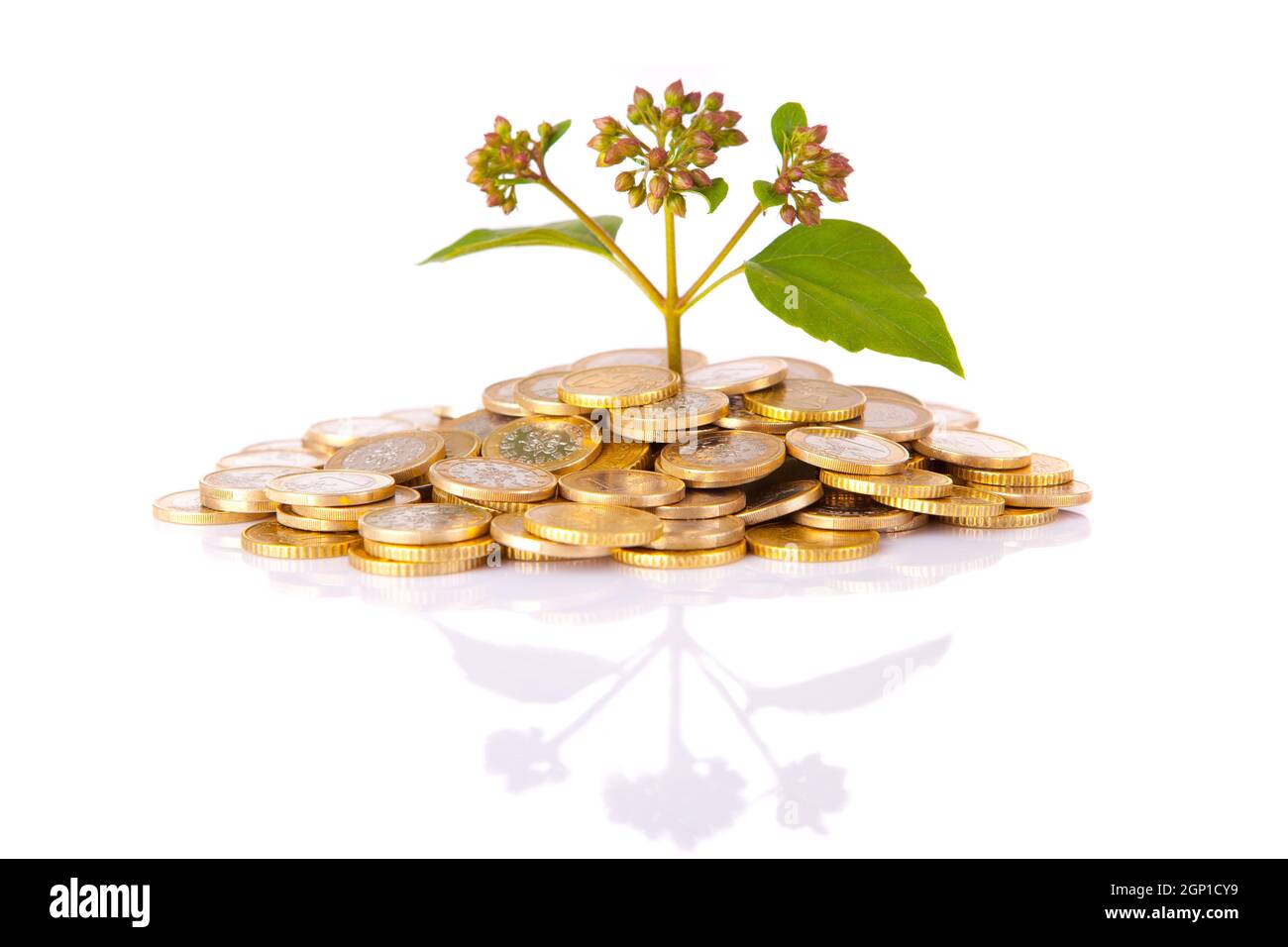 мусульманская милостыня. хадис о помощи. хадисы о запретном. хадис о помощи. милостыня в исламе.