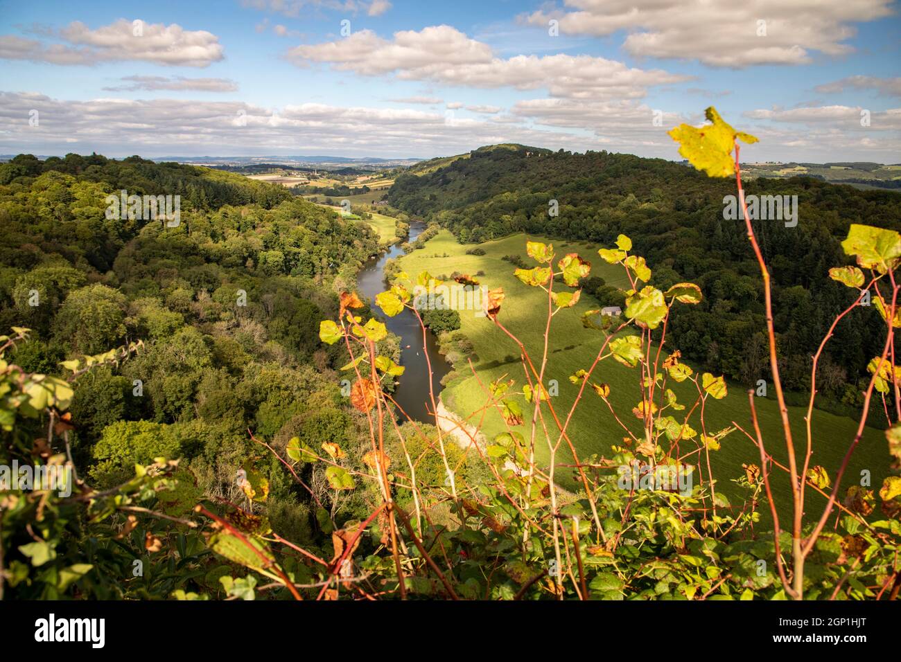 Symonds Yat Forest of Dean Stock Photo