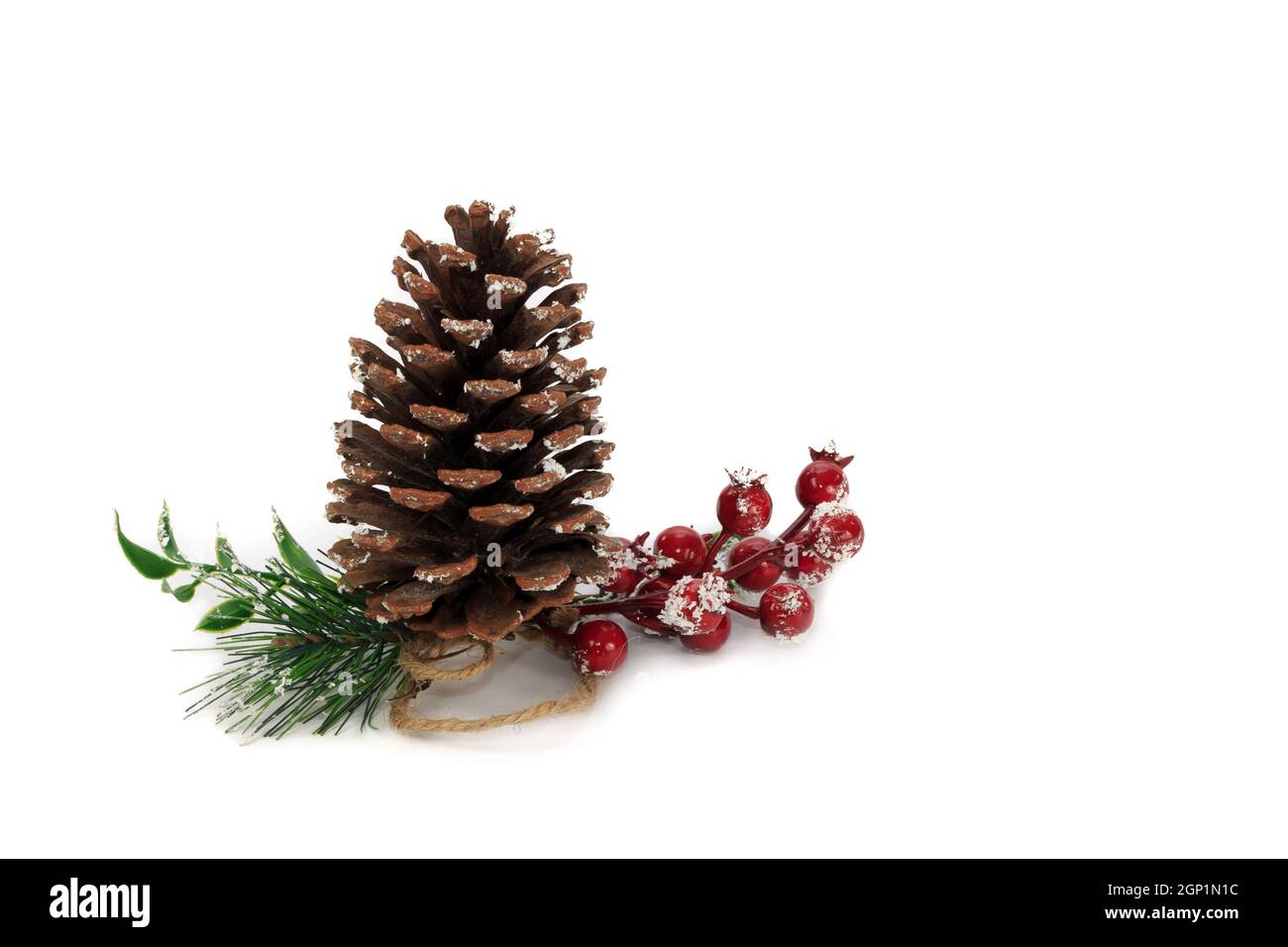 Pine cone, Red berries, Pine needles and leaves isolated on white ...