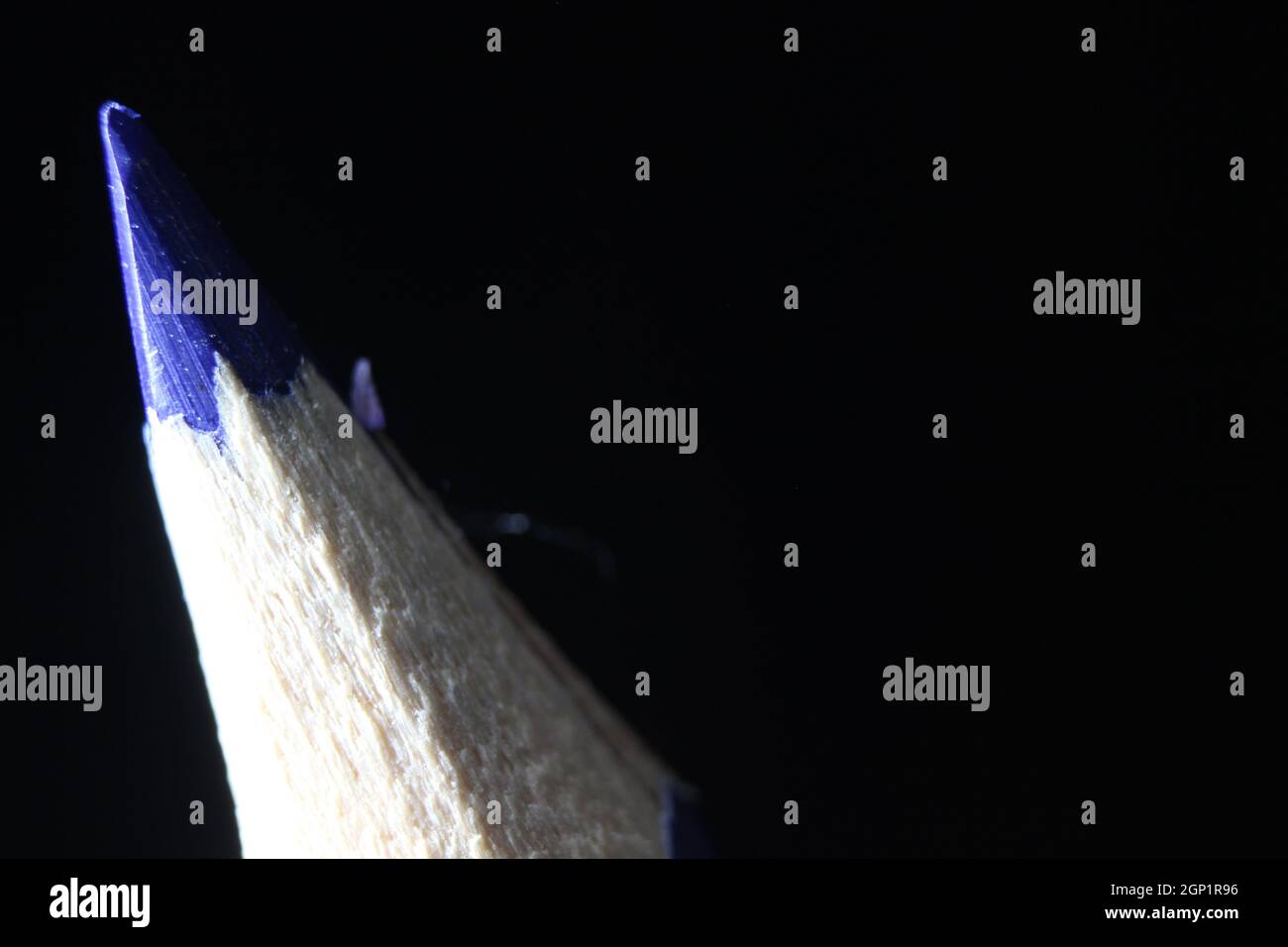 close up of sharpened pencil.Macro view of the tip of the pencil on a black background. Stock Photo