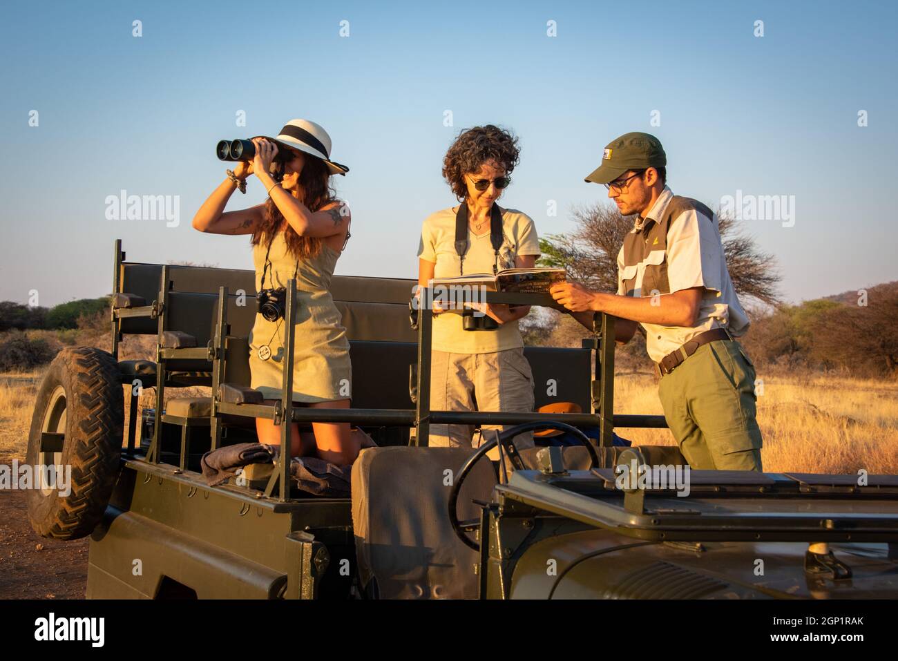 Guide discusses sighting with guests in jeep Stock Photo