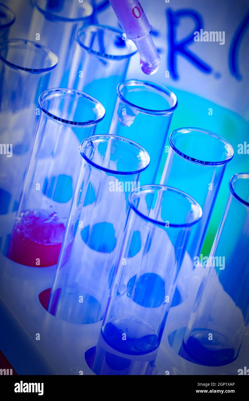 test tubes and flasks with colored liquid in a laboratory Stock Photo ...