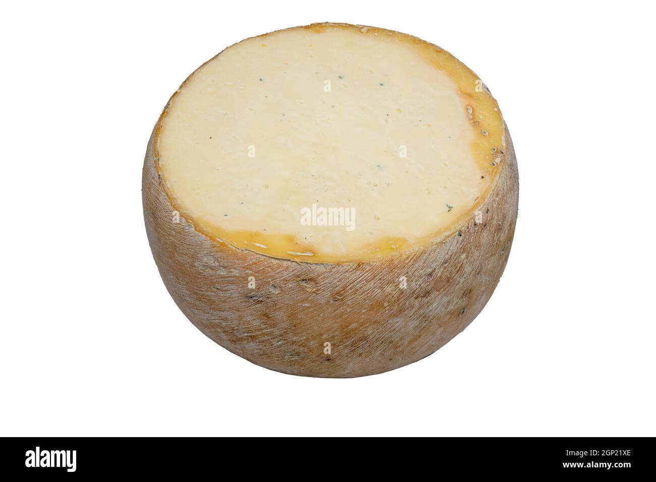 One round old cheese. Old cheddar cheese. Delicious cheese on a white