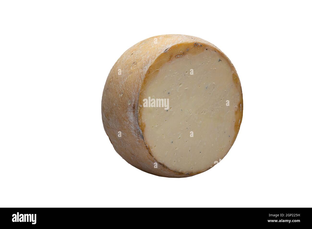 One round old cheese. Old cheddar cheese. Delicious cheese on a white