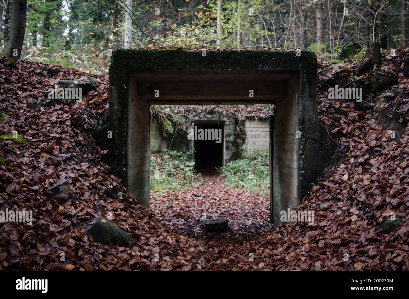 Project Riese Memorial Sowie Mountains, Lower Silesia, Poland, October 18, 2014. In WWII the ...