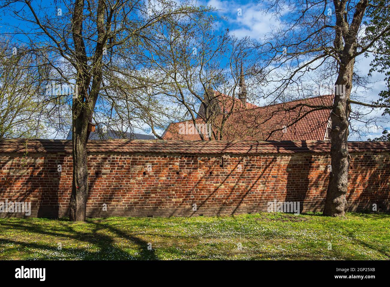 Historical buildings in the city Rostock, Germany Stock Photo - Alamy