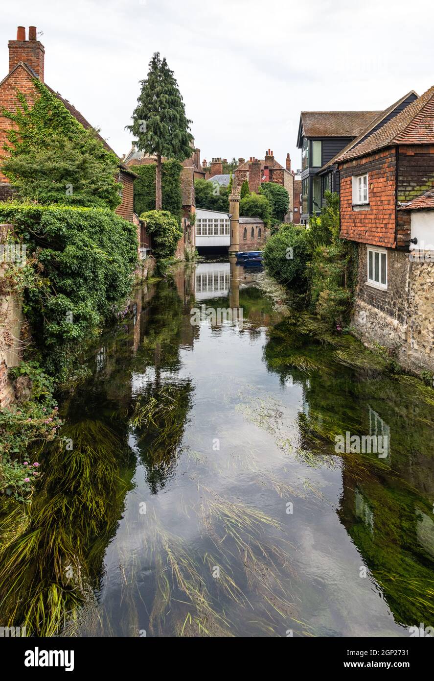 Old houses on the Great Stour river in Canterbury, Kent, England Stock Photo