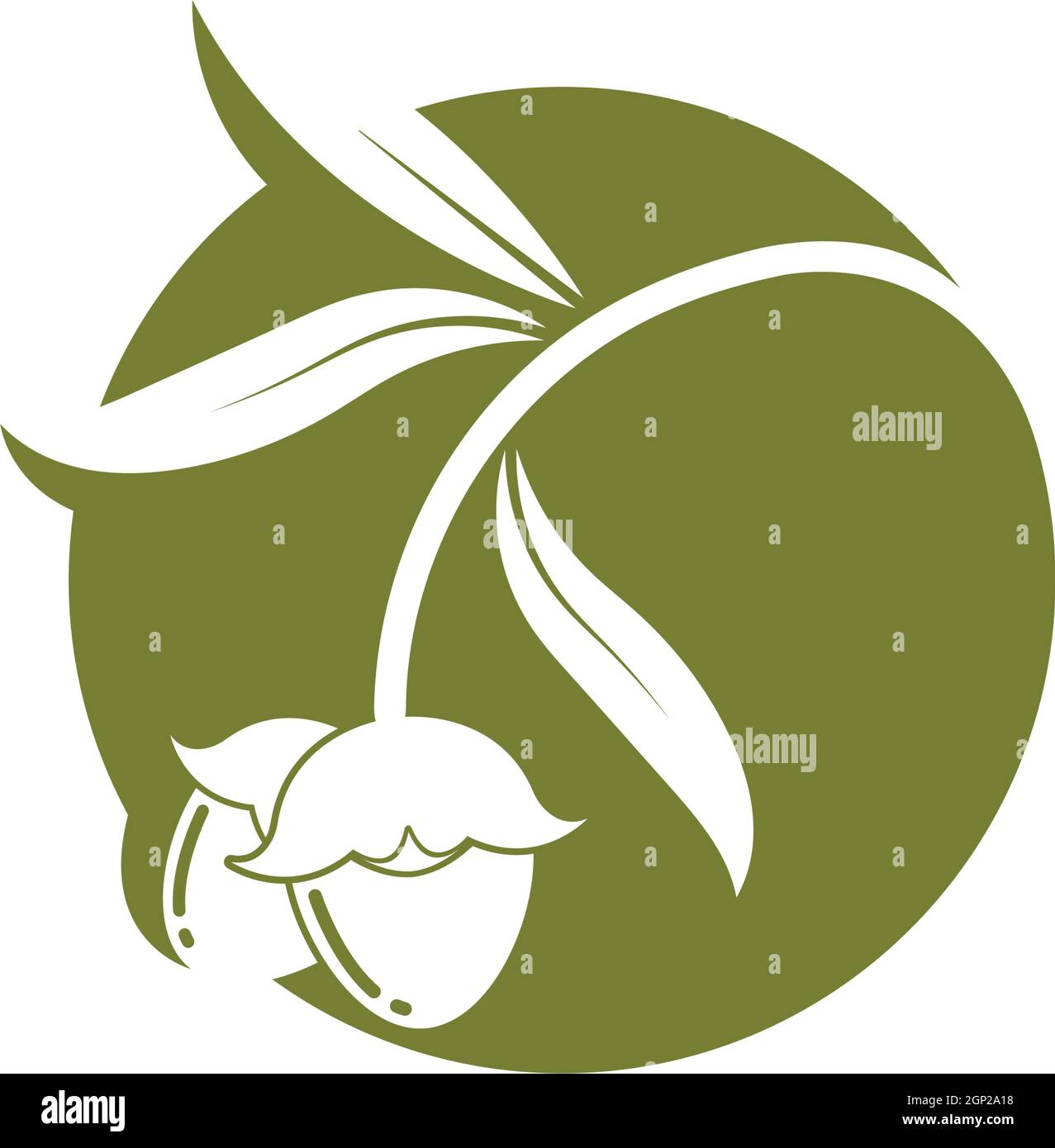 jojoba nuts vector illustration design Stock Vector